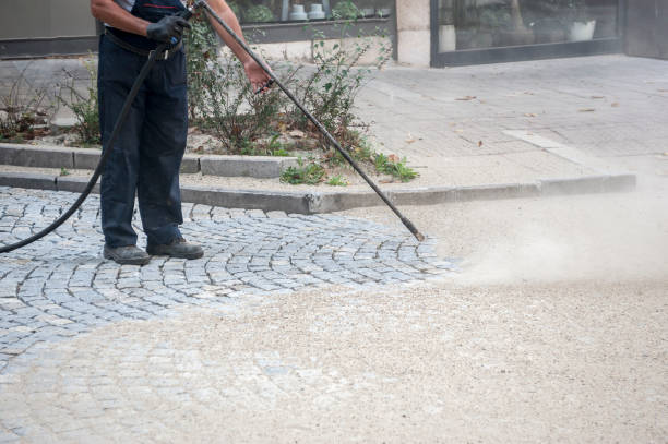 Best Sidewalk and Walkway Cleaning  in Lovejoy, GA